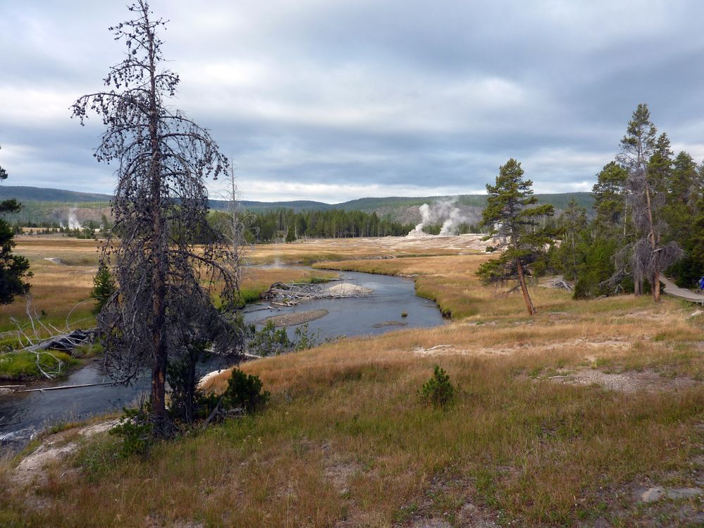 Yellowstone Old faithfull et ses environs (39).JPG